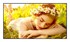 LG Digital signage zaslon 50UL5Q-E, 50", crni